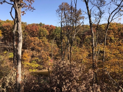 70 Acres in Putnam County, Missouri. - image 3