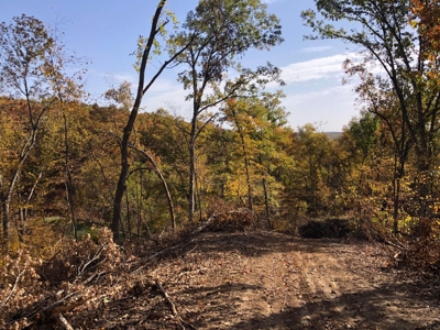 70 Acres in Putnam County, Missouri. - image 6