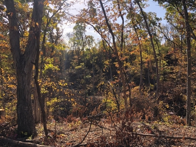 70 Acres in Putnam County, Missouri. - image 12