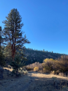 Eastern Oregon Recreational Property - Located outside Burns - image 11