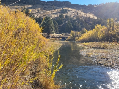 Eastern Oregon Recreational Property - Located outside Burns - image 14