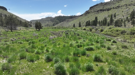 Eastern Oregon Recreational Property - Located outside Burns - image 26