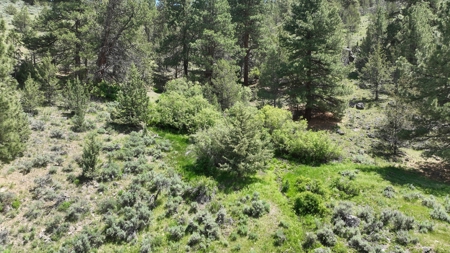 Eastern Oregon Recreational Property - Located outside Burns - image 34