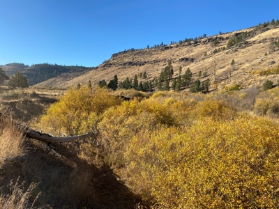 Eastern Oregon Recreational Property - Located outside Burns - image 13