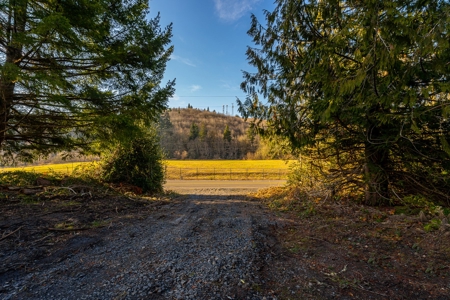 Residential Land with Private Creek For Sale in Chehalis, WA - image 4