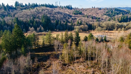 Residential Land with Private Creek For Sale in Chehalis, WA - image 14