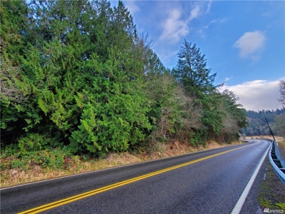 Residential Land with Private Creek For Sale in Chehalis, WA - image 2