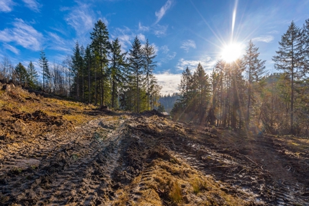 Residential Land with Private Creek For Sale in Chehalis, WA - image 8