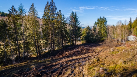 Residential Land with Private Creek For Sale in Chehalis, WA - image 13