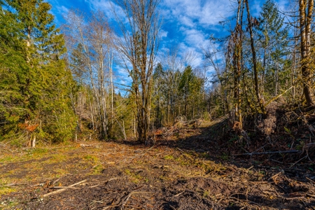 Residential Land with Private Creek For Sale in Chehalis, WA - image 5