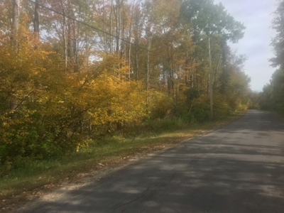 Country Acreage-Excellent for Building - image 3