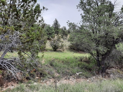 Very Secluded - image 4