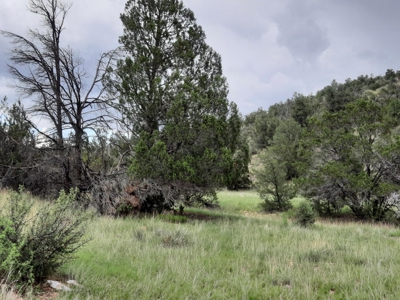 Very Secluded - image 1