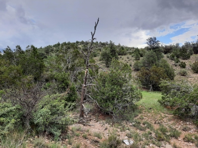 Very Secluded - image 6