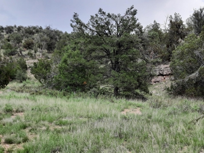 Very Secluded - image 7
