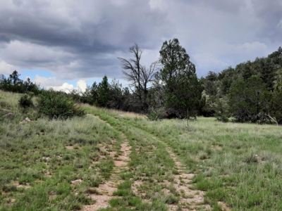 Very Secluded - image 8