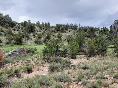 Very Secluded - image 5