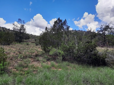 Very Secluded - image 3