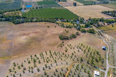 7 Palms Ranch - image 22