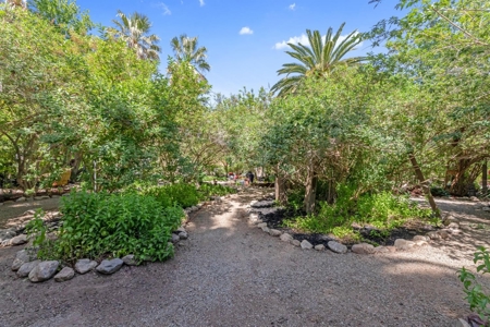 7 Palms Ranch - image 48