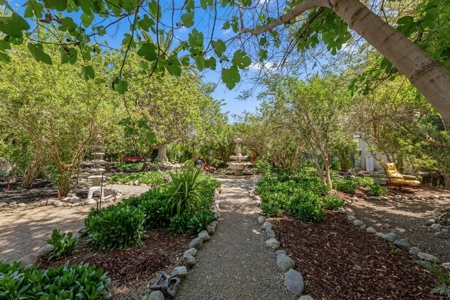 7 Palms Ranch - image 49