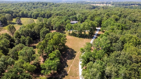 Contemporary Ranch Style Home in West Plains, MO for Sale - image 5