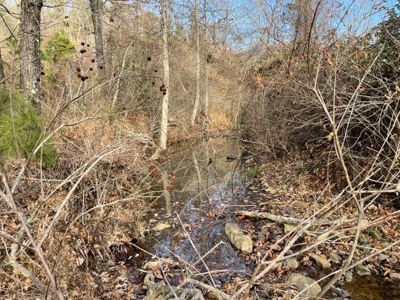 80 Acres 45 Minutes Ne Of Hochatown For Sale!! - image 17
