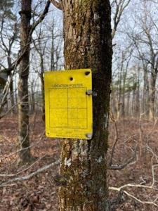 80 Acres 45 Minutes Ne Of Hochatown For Sale!! - image 8