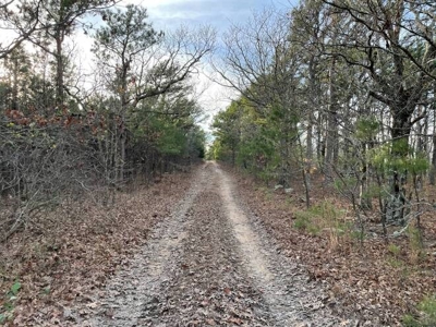 80 Acres 45 Minutes Ne Of Hochatown For Sale!! - image 38