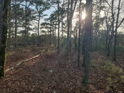 80 Acres 45 Minutes Ne Of Hochatown For Sale!! - image 33