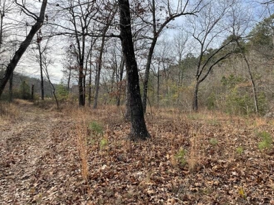80 Acres 45 Minutes Ne Of Hochatown For Sale!! - image 14