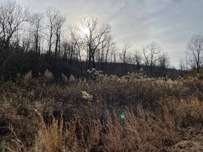 80 Acres 45 Minutes Ne Of Hochatown For Sale!! - image 16
