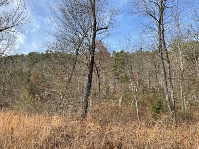 80 Acres 45 Minutes Ne Of Hochatown For Sale!! - image 2