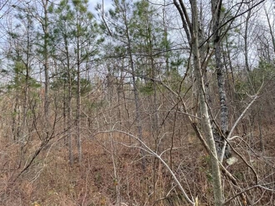 80 Acres 45 Minutes Ne Of Hochatown For Sale!! - image 3