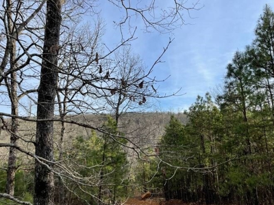 80 Acres 45 Minutes Ne Of Hochatown For Sale!! - image 11