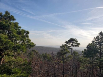 80 Acres 45 Minutes Ne Of Hochatown For Sale!! - image 31