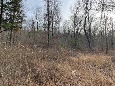 80 Acres 45 Minutes Ne Of Hochatown For Sale!! - image 19