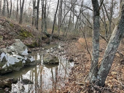 80 Acres 45 Minutes Ne Of Hochatown For Sale!! - image 7