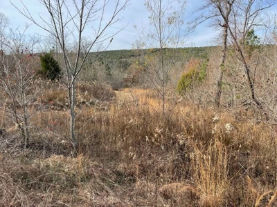 80 Acres 45 Minutes Ne Of Hochatown For Sale!! - image 18
