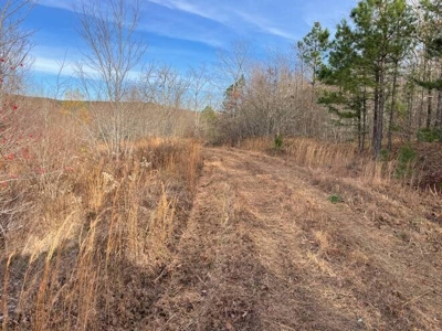 80 Acres 45 Minutes Ne Of Hochatown For Sale!! - image 13