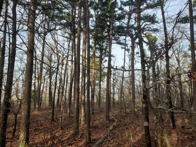 80 Acres 45 Minutes Ne Of Hochatown For Sale!! - image 27