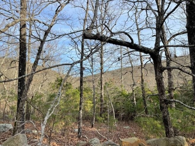 80 Acres 45 Minutes Ne Of Hochatown For Sale!! - image 25