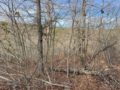 80 Acres 45 Minutes Ne Of Hochatown For Sale!! - image 21