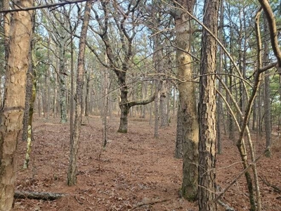 80 Acres 45 Minutes Ne Of Hochatown For Sale!! - image 37