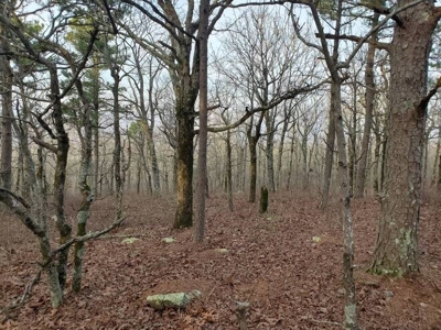 160 Acres 45 Minutes Ne Of Hochatown For Sale!! - image 35
