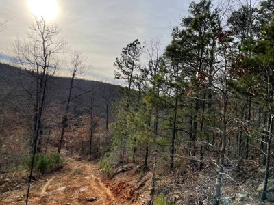 160 Acres 45 Minutes Ne Of Hochatown For Sale!! - image 5