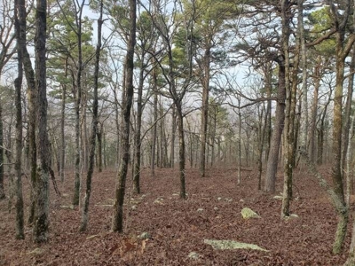 400 Acres (+/-) 45 Minutes Ne Of Hochatown Oklahoma For Sale - image 38