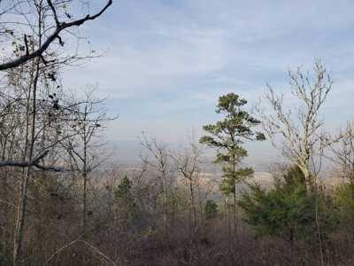 400 Acres (+/-) 45 Minutes Ne Of Hochatown Oklahoma For Sale - image 32