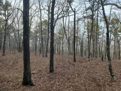 400 Acres (+/-) 45 Minutes Ne Of Hochatown Oklahoma For Sale - image 40