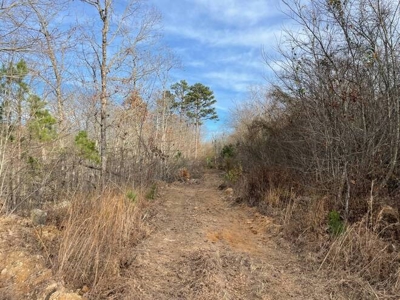 400 Acres (+/-) 45 Minutes Ne Of Hochatown Oklahoma For Sale - image 20